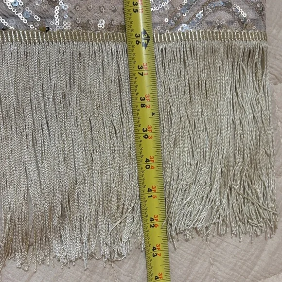 NWT Unique Vintage Beige Sequin Dress with Fringe Size XL - Picture 11 of 14